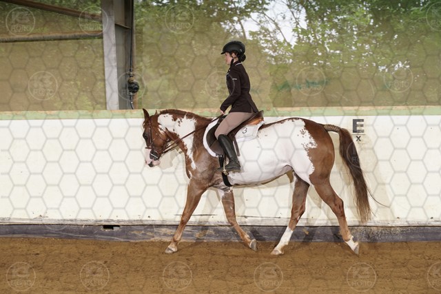 sK3F09270.JPG